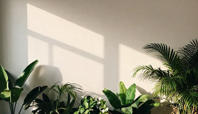 门诊康复指导：两种做法的实际取舍与趋势分析